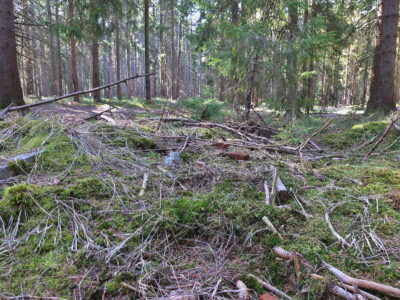 Místo Horákovi chaty (2021)