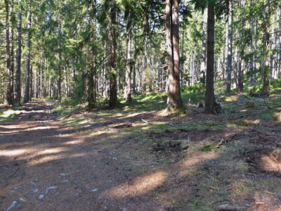 Místo Horákovi chaty (2021)