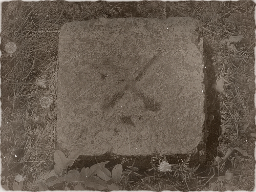 Fotogalerie: Sokolovice